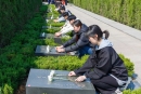 微信图片_20260407093347_770_41.jpg